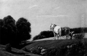 Am Feld Am Feld