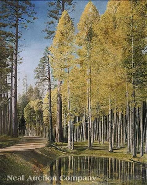 Pines - view 1