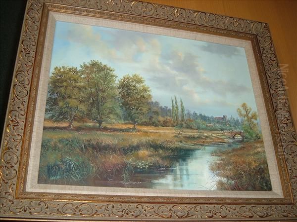 Riverlandscape - view 1