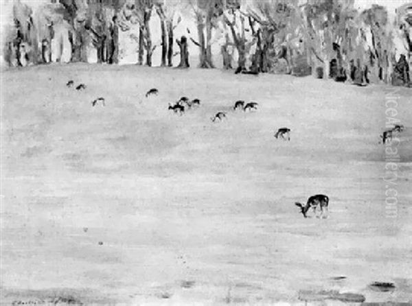 Deer Grazing In Parkland - view 1
