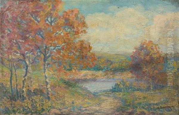 Landscape - view 1
