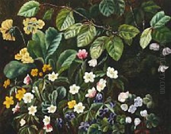 Forest Bed With Blooming Spring Flowers - view 1