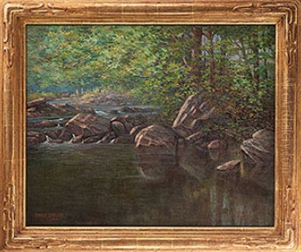Forest Stream - view 1