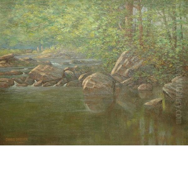 A Forest Stream - view 1