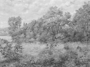 Summer Landscape by Charles Sindelar