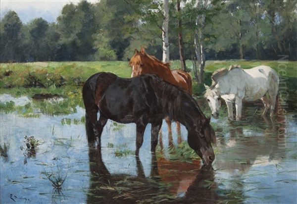 Hvassende Hester - view 1