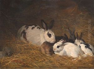 Kaniner by Elisabeth Sinding