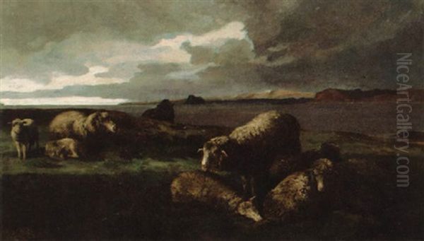 Landskap Med Dyr - view 1
