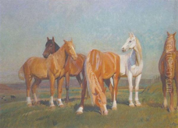 Pferde Auf Einem Feld - view 1