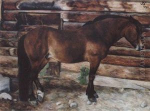 Hest Foran En Bjaelkehytte