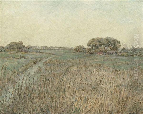 A Wild Meadow - view 1