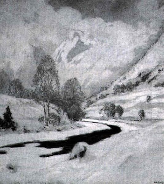 Morning Mist - view 1