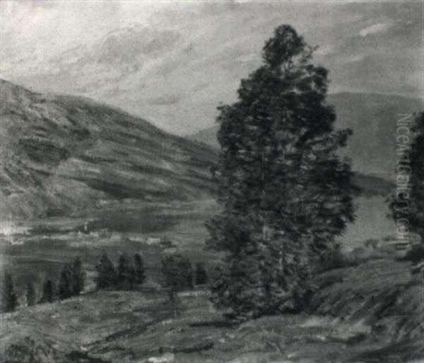 Oldae Fjord, Norway - view 1