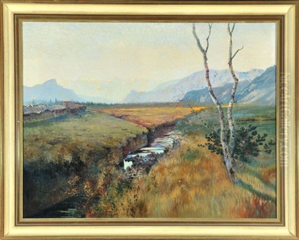 Moorlandschaft Mit Torfhutten Im Bayerischen Voralpenland - view 1
