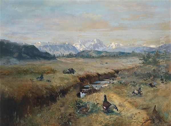 Voralpenlandschaft Mit Spielhahnen - view 1