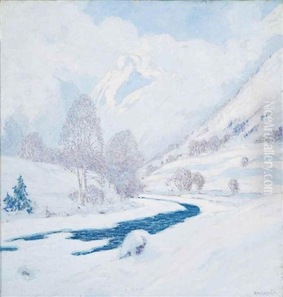 Morning Mist - view 1