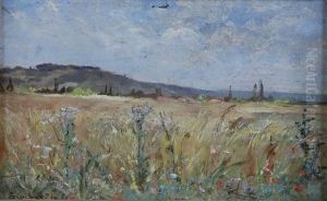Paysage Paysage