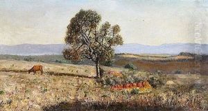 Paysage D'algerie Paysage D'algerie
