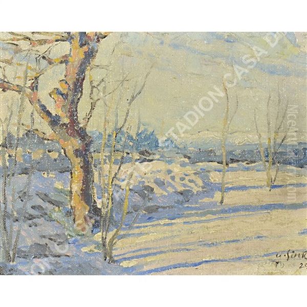 Nevicata A Opicina - view 1