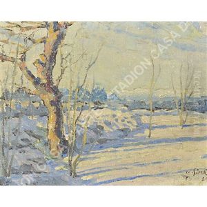 Nevicata A Opicina by Albert Sirk