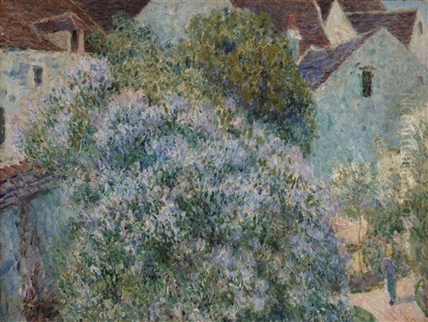 Les Lilas Dans Mon Jardin - view 1