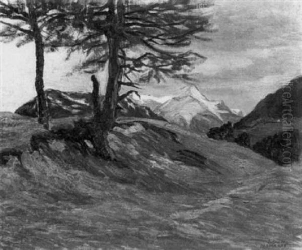 Landschaft Bei Serfaus In Tirol - view 1