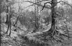 Autumn Forest Landscape Autumn Forest Landscape
