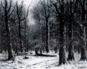 The Winter Supply The Winter Supply