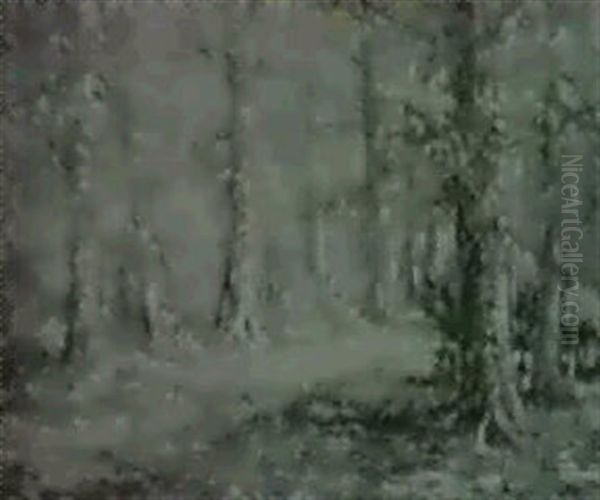 Autumn - view 1