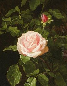Bluhende Rose by Clara Von Sivers