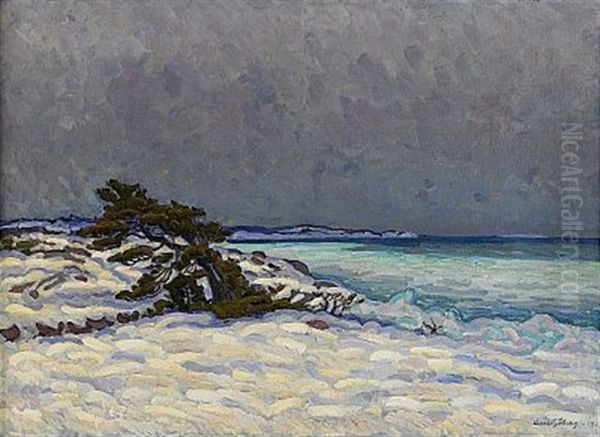 Vinterlandskap - view 1