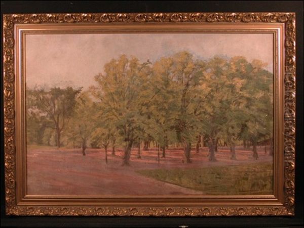 Drottningholman Puisto - Drottningholms Park - view 1