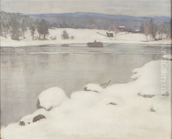 Ice Loss - view 1