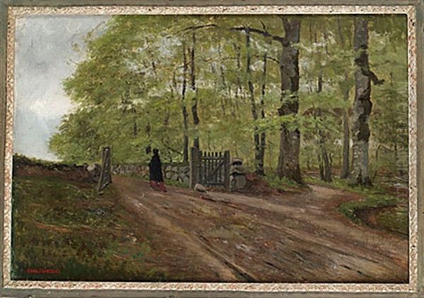 Skogslandskap Med Kvinna - view 1