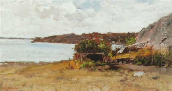 Strandlandskap - view 1
