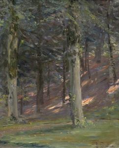 Sonnenbeschienene Partie Im Berliner Grunewald