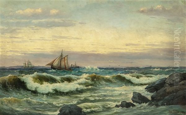 Norwegian Coast - view 1
