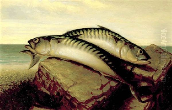 Prize Catch - view 1