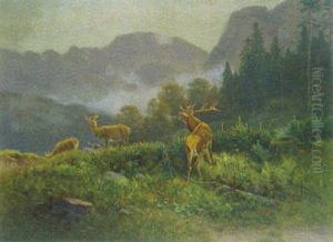 Rotwild An Einem Herbstmorgen Im Laugental Vor Der Benediktenwand