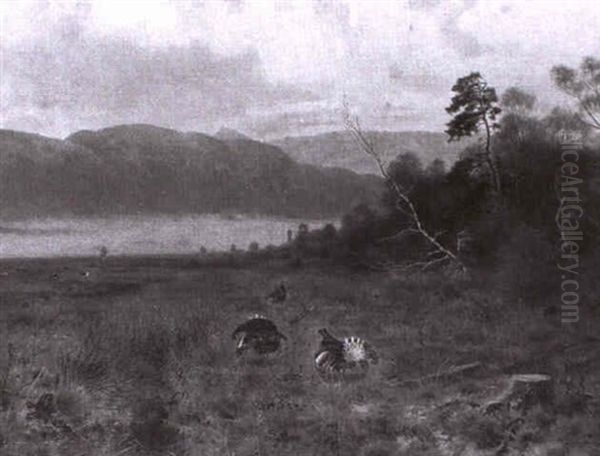 K,mpfende Birkh,hne In Fr_hherbstlicher Landschaft - view 1