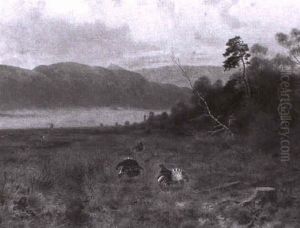 K,mpfende Birkh,hne In Fr_hherbstlicher Landschaft K,mpfende Birkh,hne In Fr_hherbstlicher Landschaft