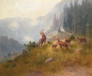 Hirsch Mit Seinem Rudel Im Hochgebirge