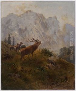 Cerf Bramant Et Biches Dans Un Paysage De Montagne Cerf Bramant Et Biches Dans Un Paysage De Montagne