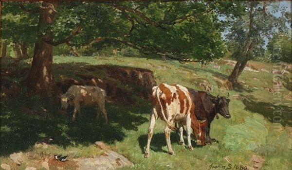 Koer Paa En Klippe I Halland - view 1