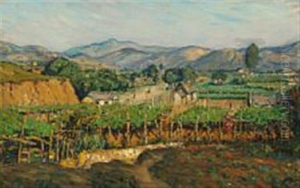 Vineyard At Java - view 1