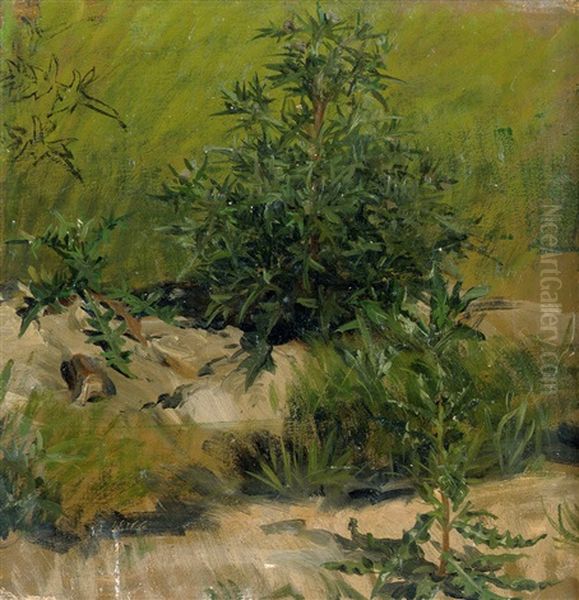 Distelstudien - view 1
