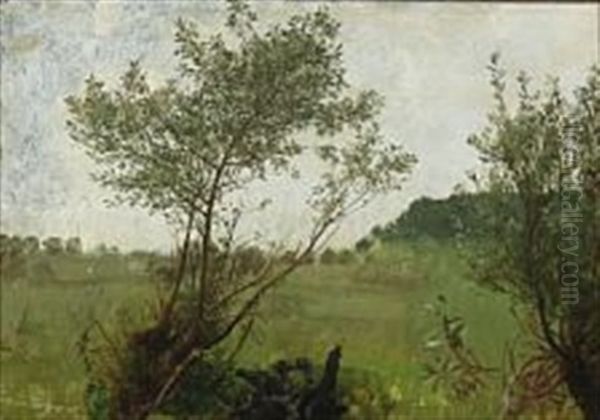 Danish Summer Landscape - view 1
