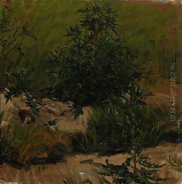 Two Sketches Of Weeds (2 Works) - view 1