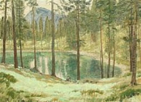 Landscape At Grimsoll - view 1