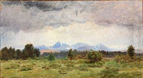 Landscape From Foldalen In Norway - view 1